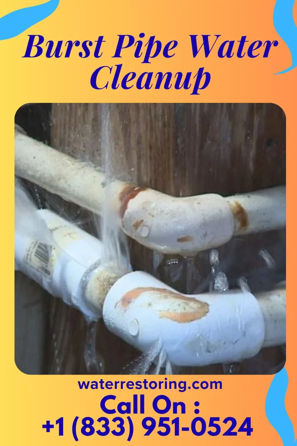 Burst Pipe Water Cleanup in Boonton, NJ