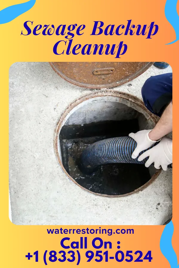 Sewage Backup Cleanup in Boonton, NJ