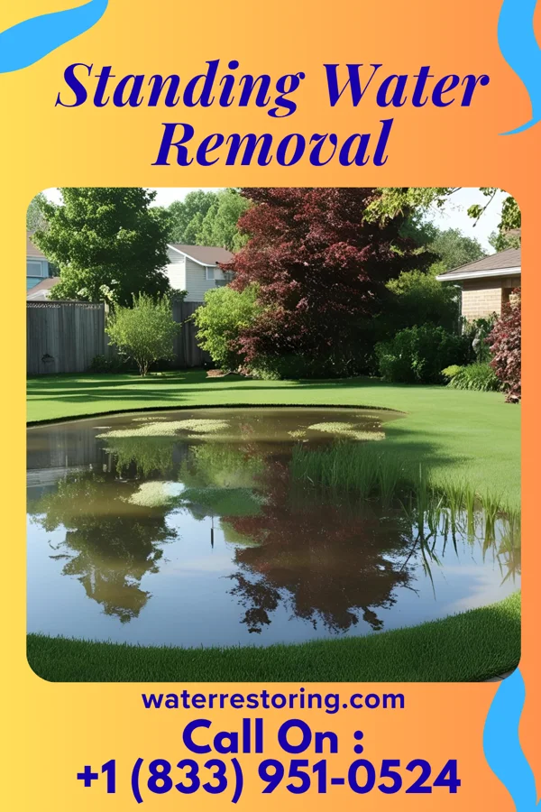 Standing Water Removal in Boonton, NJ